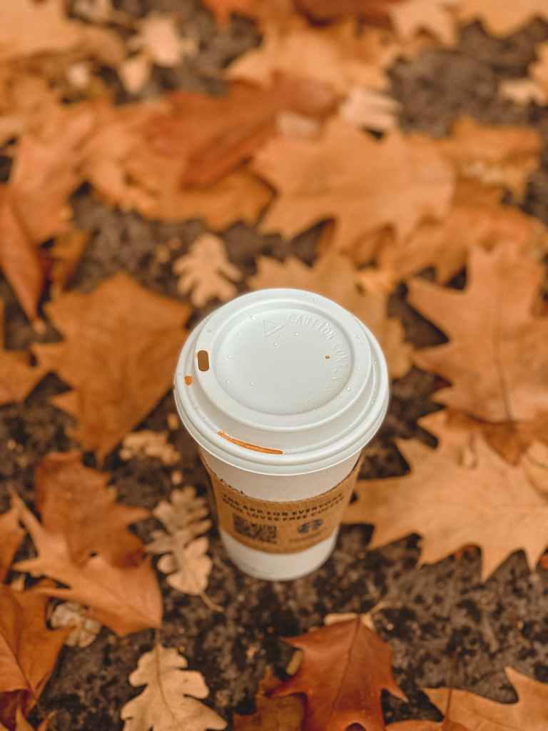 a paper cup of coffee on the ground with dried leaves